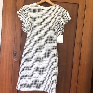 Calvin Klein knee length dress flutter sleeves